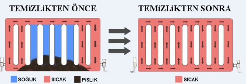 petek-temizligi-nasil-yapilir-1